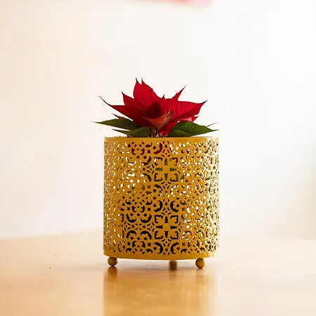 Family Friendly In The Center Appartamento *