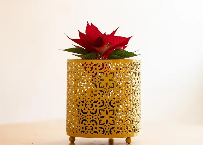 Family Friendly In The Center Apartamento *