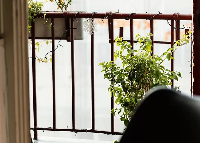 Apartamento Family Friendly In The Center